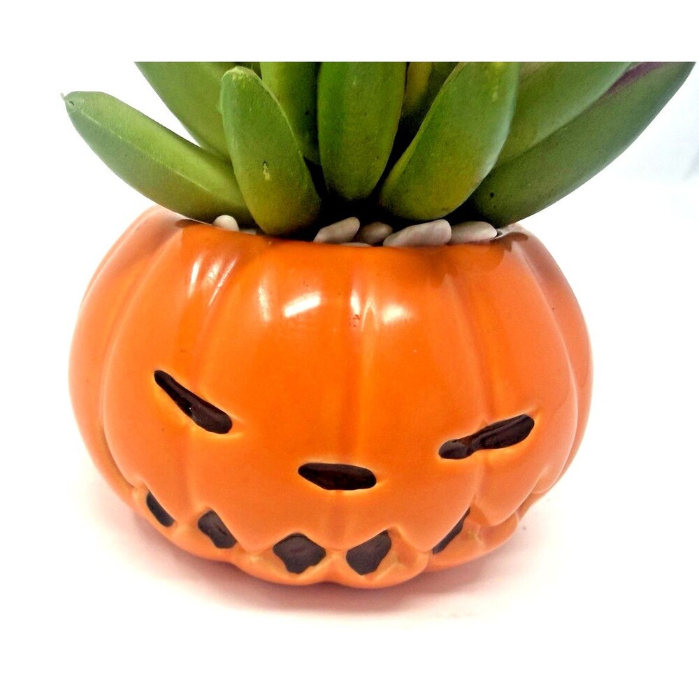 Disney Tim Burton's Nightmare Before Christmas Pumpkin King Faux Succulent 3.5in - Picture 7 of 8